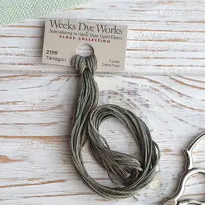 Бавовняне муліне ручного фарбування Weeks Dye Works 2199 Tarragon (Тархун). Преміальні нитки секційного фарбування (меланж) зеленого трав'яного відтінку для вишивання хрестиком. Купити оригінальне американське муліне WDW для рукоділля в інтернет-магазині Crazy Cross Stitch