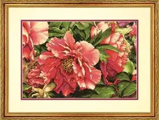 Готова вишита картина за набором Dimensions 70-35298 "Coral Peonies" (Коралові півонії). Розкішний квітковий сюжет із великим планом пишних півоній коралового кольору та насиченим зеленим листям, виконаний технікою лічильного хреста та напівхреста на канві Aida 14 кольору слонової кістки